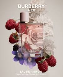 Burberry Her Eau De Parfum Spray 100ml